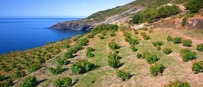 Nuove tecnologie per valorizzare i siti storici, nasce il protocollo Pantelleria