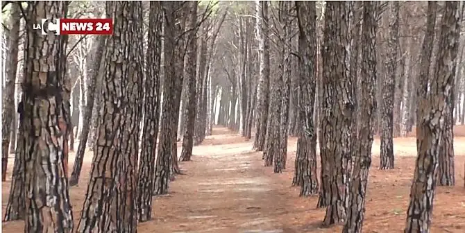 Alla scoperta della natura in Calabria con le notti bianche della biodiversità