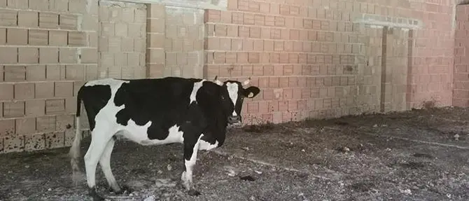 Saracena, il sindaco Russo chiede di intensificare controlli nel piano di Masistro