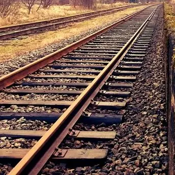 Locri, sorpresi ad attraversare i binari: 9 turisti sanzionati