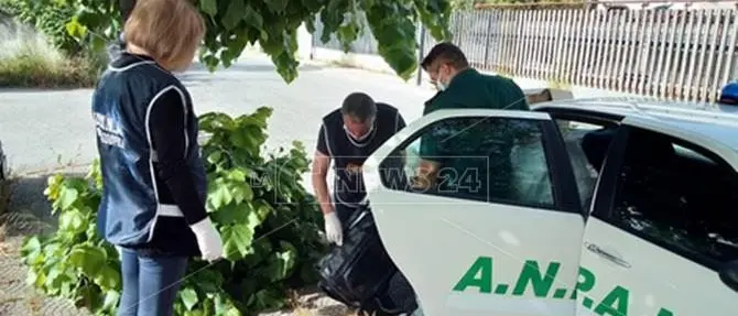 Rifiuti, lotta agli zozzoni a Castrovillari: in meno di due anni 24mila euro di multe