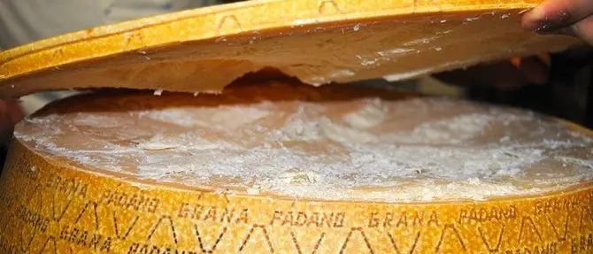 Dazi, Trump grazia i prodotti Made in Italy. Colpite Francia e Germania