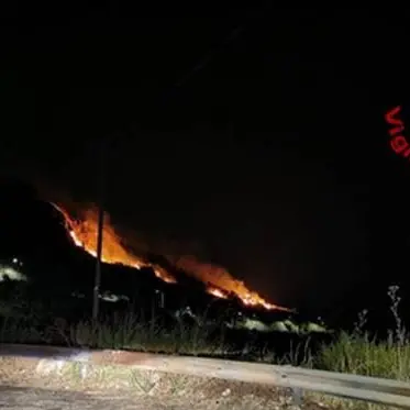 Notte di fuoco a Catanzaro, vasto incendio minaccia le abitazioni in località Petrusa