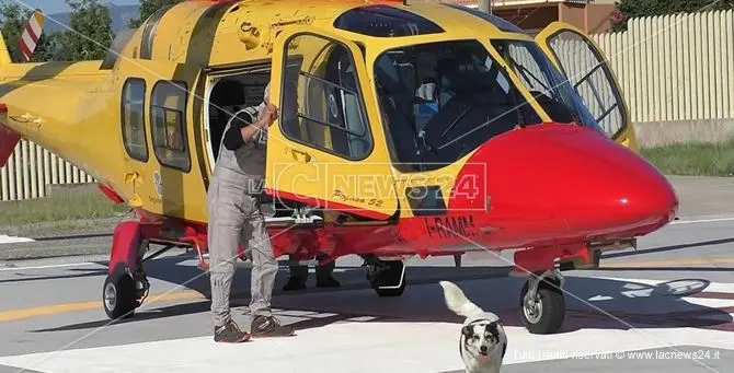 L'annus horribilis del soccorso d'emergenza a Catanzaro: pochi mezzi e personale in fuga