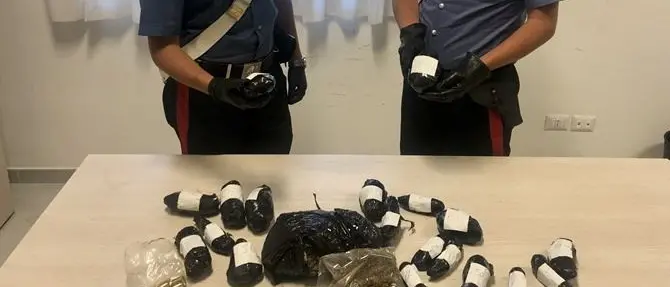 Lamezia, oltre un chilo di marijuana e munizioni nascosti in un terreno: indagini in corso