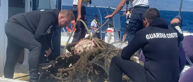 Ormeggi abusivi, la Guardia costiera sgombra area da 2600 mq nel Reggino