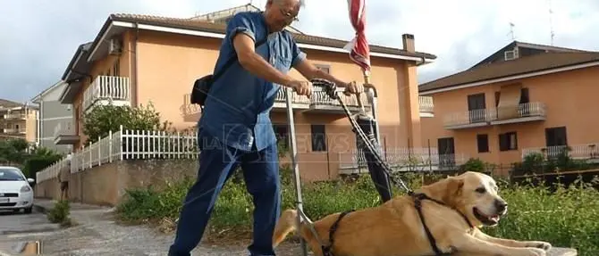 Vibo: è morto il padrone di Dylan, il labrador che aveva commosso l’Italia