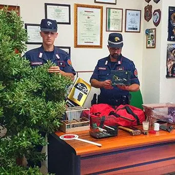 Catturavano uccelli con la colla per topi: denunciati 2 bracconieri a Morano