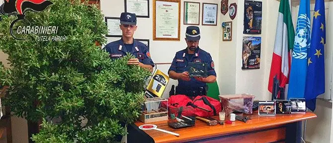 Catturavano uccelli con la colla per topi: denunciati 2 bracconieri a Morano