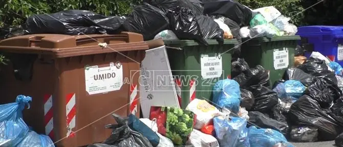 Nato sulle Dolomiti e sposato con una calabrese: «Che vergogna i rifiuti per strada»