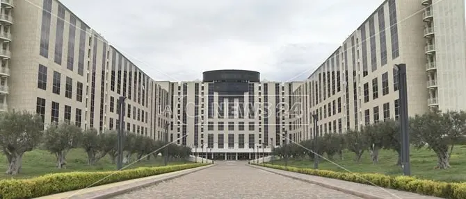 Avvocatura regionale, l'Ordine di Catanzaro impugna la nomina di Borgo