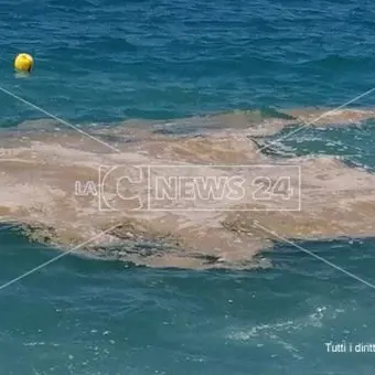 Mare sporco lungo il Tirreno cosentino, i Verdi presentano un esposto