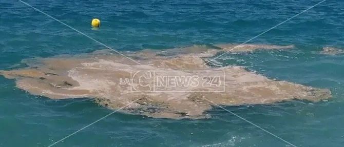 Mare sporco lungo il Tirreno cosentino, i Verdi presentano un esposto