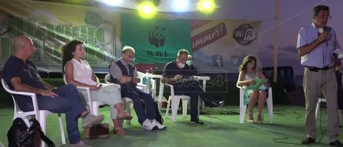 Tartarughe marine, una specie da tutelare: a Nocera un convegno in attesa della schiusa