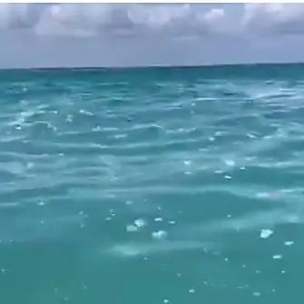 Mare sporco in Calabria, da Curinga la petizione indirizzata al presidente Conte