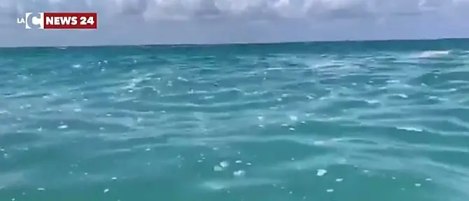 Mare sporco in Calabria, da Curinga la petizione indirizzata al presidente Conte