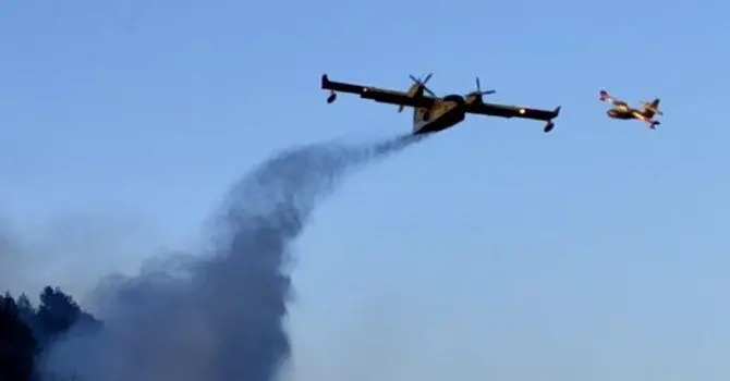 Vasto incendio alle porte di Cosenza, devastata un'intera collina