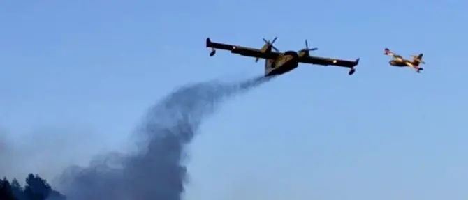 Vasto incendio alle porte di Cosenza, devastata un'intera collina