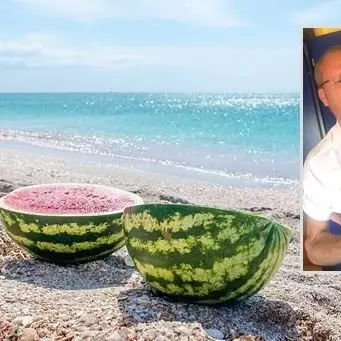 Calabria (anche) terra di angurie, Laratta: «Settore strategico, serve un consorzio»