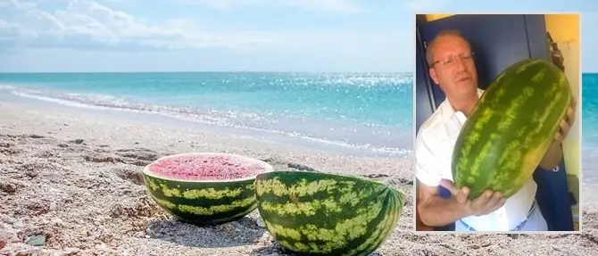 Calabria (anche) terra di angurie, Laratta: «Settore strategico, serve un consorzio»