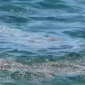 Quel mare sporco e inquinato anche a fine stagione in Calabria