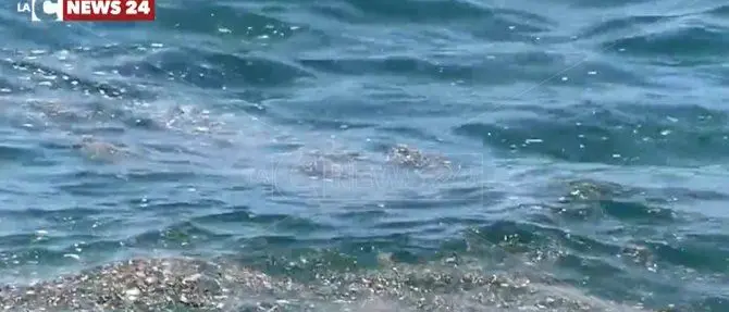 Quel mare sporco e inquinato anche a fine stagione in Calabria