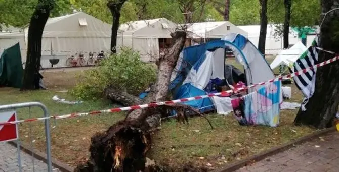 Il maltempo uccide una bimba di 3 anni, grave la sorella: albero caduto sulla tenda