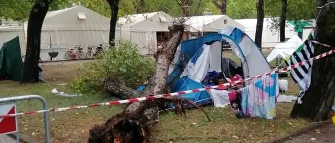Il maltempo uccide una bimba di 3 anni, grave la sorella: albero caduto sulla tenda
