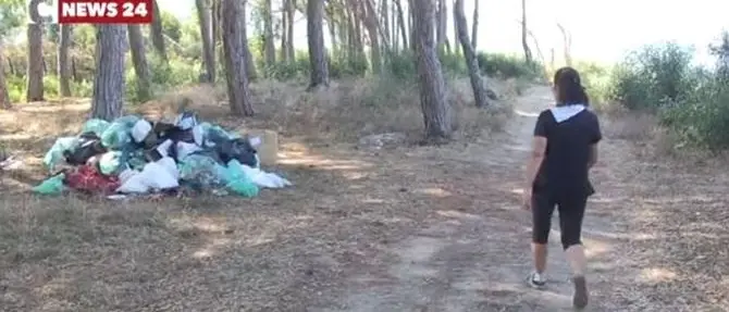 Pizzo, la pineta di Colamaio tra rifiuti e incuria: spettacolo della natura preda degli zozzoni