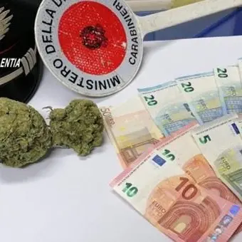 In auto con 100 grammi di marijuana, arrestato 23enne nel Vibonese