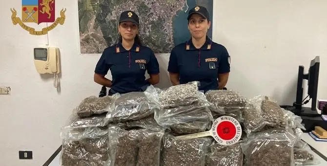 Crotone, trovati 20 chili di marijuana nascosti in un canale di scolo