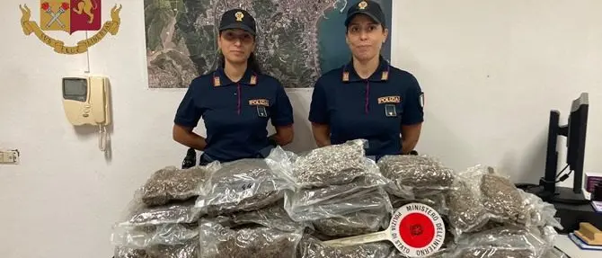 Crotone, trovati 20 chili di marijuana nascosti in un canale di scolo