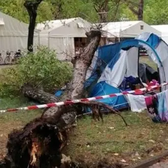 Sorelline uccise dalla caduta di un albero, ci sono due indagati