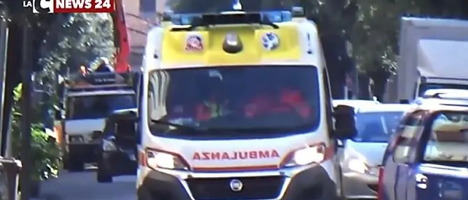 Serrastretta, operaio muore schiacciato dall'albero che stava tagliando