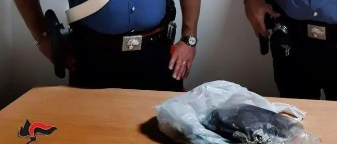Rosarno, si scambiano mezzo chilo di marijuana ma vengono beccati e arrestati
