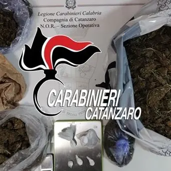 Catanzaro, spaccio di coca e marijuana: i carabinieri arrestano un 40enne