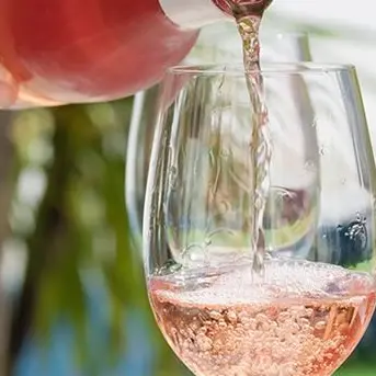 Vendemmia 2020, il futuro della Calabria è “rosé”: stagione da incorniciare