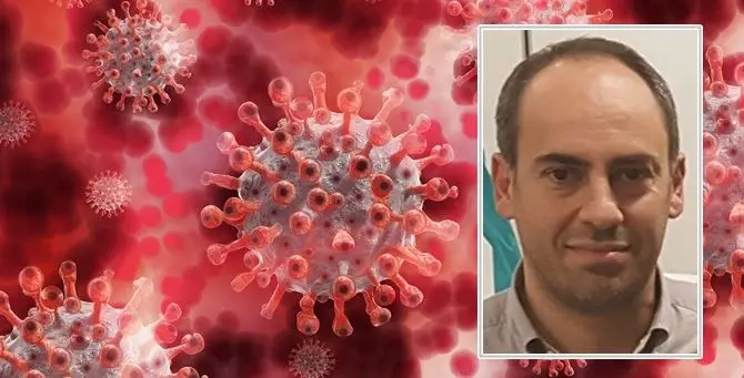 «Come formiche in cerca della cura al Covid». Parla il calabrese scopritore della quercetina