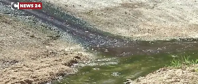 Fogna e topi nel cuore di Corigliano Rossano, i residenti: «Da 9 anni viviamo così»