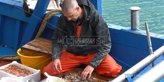 Dal Tirreno allo Ionio, stop alla pesca per 30 giorni anche in Calabria