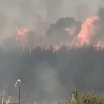 Vasto incendio a Nocera Terinese minaccia abitazioni alla Marina