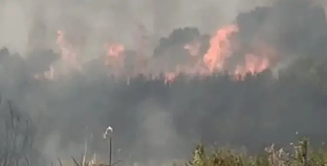 Vasto incendio a Nocera Terinese minaccia abitazioni alla Marina