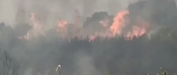 Vasto incendio a Nocera Terinese minaccia abitazioni alla Marina