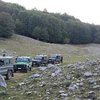 Accendono fuochi nel parco del Pollino, sanzionati turisti per oltre 12mila euro