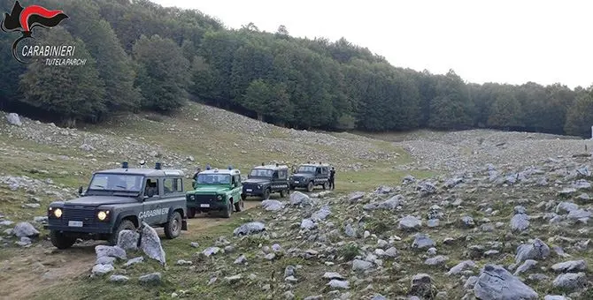 Accendono fuochi nel parco del Pollino, sanzionati turisti per oltre 12mila euro