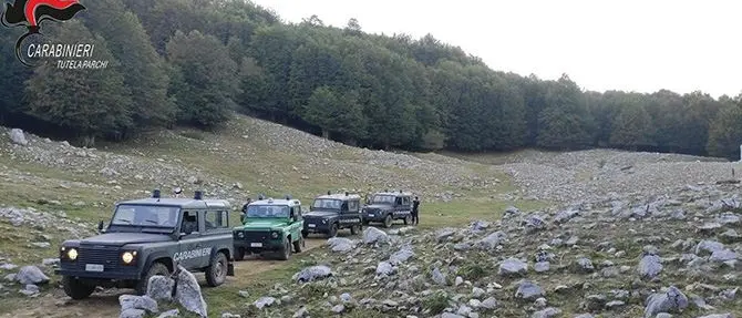 Accendono fuochi nel parco del Pollino, sanzionati turisti per oltre 12mila euro