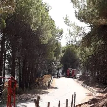 Tre incendi sulle colline di Corigliano-Rossano, il fuoco minaccia alcune case