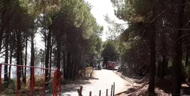 Tre incendi sulle colline di Corigliano-Rossano, il fuoco minaccia alcune case