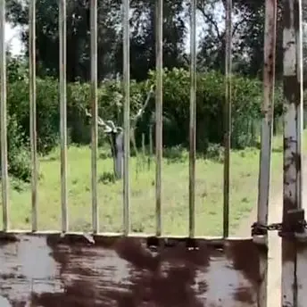 Raid nell’azienda di Maria Chindamo: rubati mezzi agricoli e attrezzi