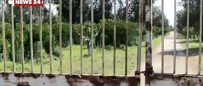 Raid nell’azienda di Maria Chindamo: rubati mezzi agricoli e attrezzi